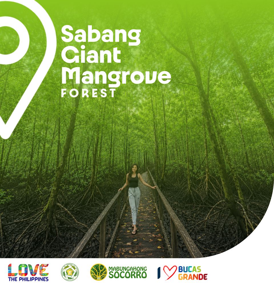 Sabang Giant Mangrove Forest